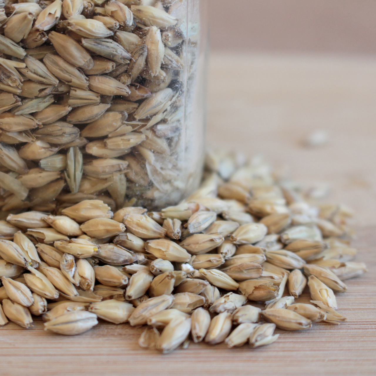 Pale Malt Fermetation & Compagnie